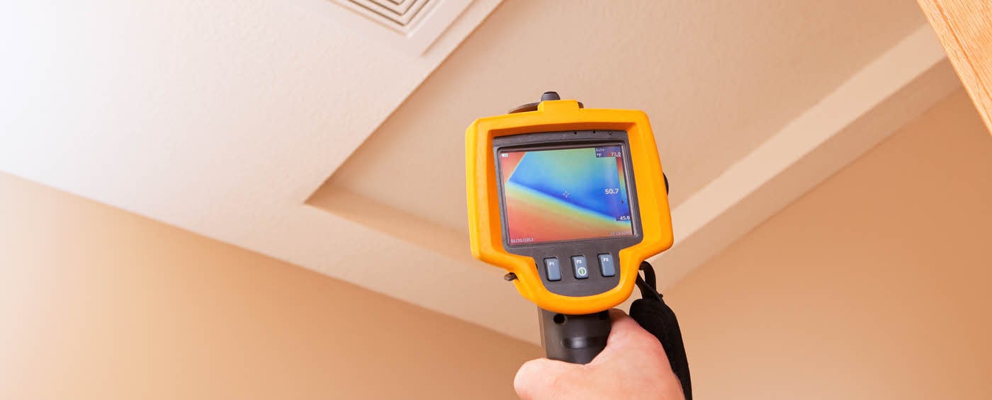 An energy efficient expert assessing a home